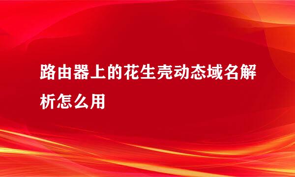路由器上的花生壳动态域名解析怎么用