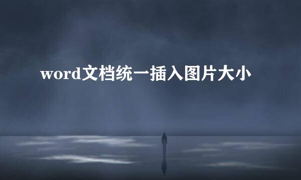 word文档统一插入图片大小