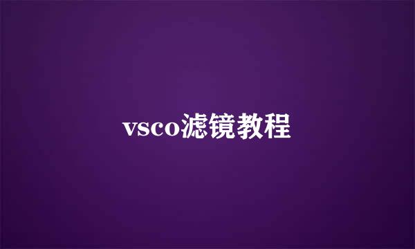 vsco滤镜教程