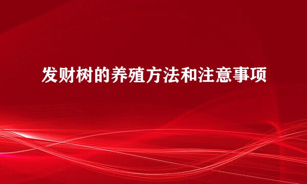 发财树的养殖方法和注意事项