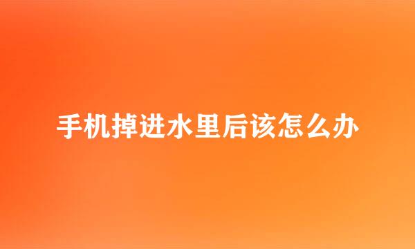 手机掉进水里后该怎么办