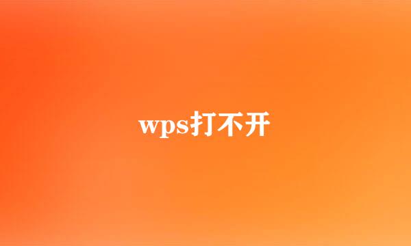 wps打不开