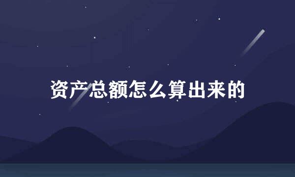 资产总额怎么算出来的