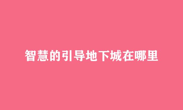 智慧的引导地下城在哪里