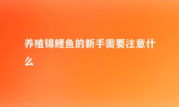 养殖锦鲤鱼的新手需要注意什么