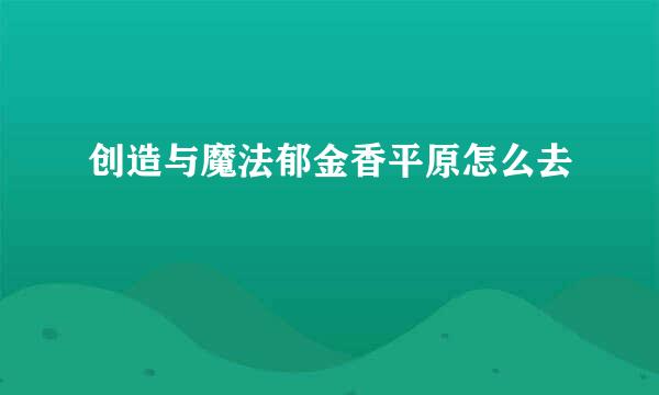 创造与魔法郁金香平原怎么去