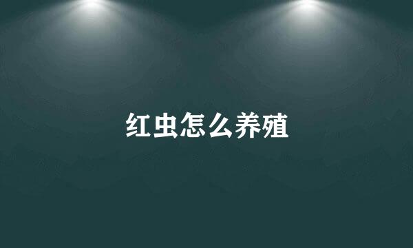 红虫怎么养殖