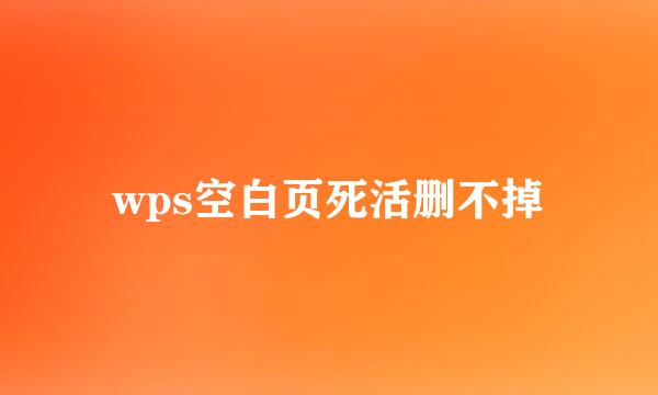 wps空白页死活删不掉