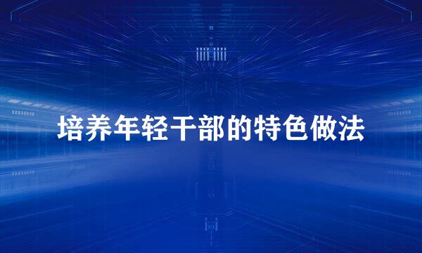 培养年轻干部的特色做法