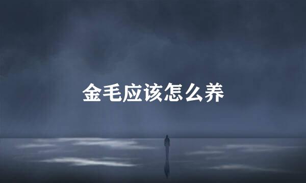 金毛应该怎么养