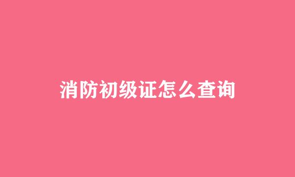 消防初级证怎么查询