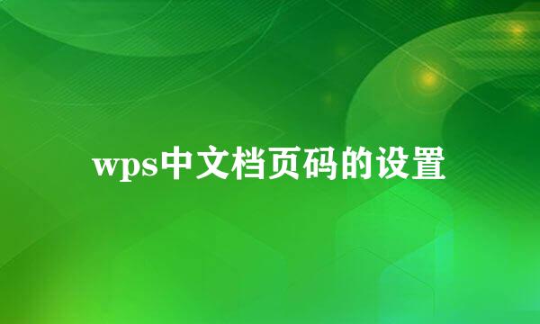 wps中文档页码的设置