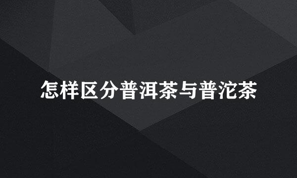 怎样区分普洱茶与普沱茶