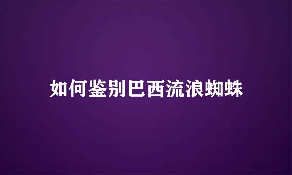 如何鉴别巴西流浪蜘蛛