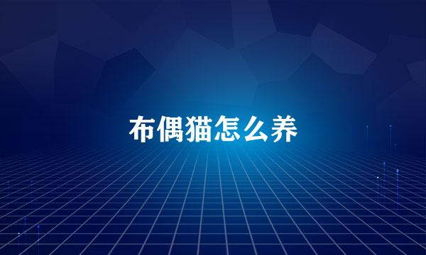 布偶猫怎么养