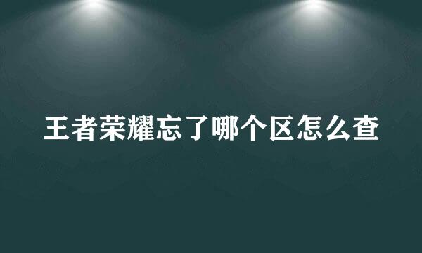 王者荣耀忘了哪个区怎么查