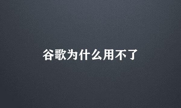 谷歌为什么用不了