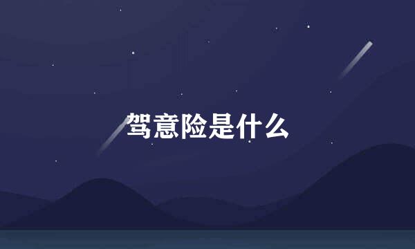驾意险是什么
