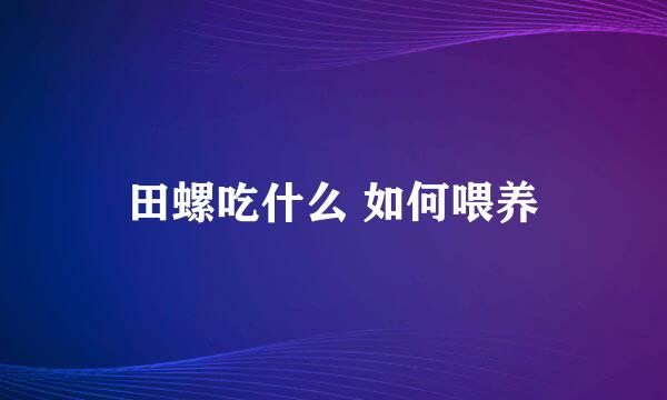 田螺吃什么 如何喂养