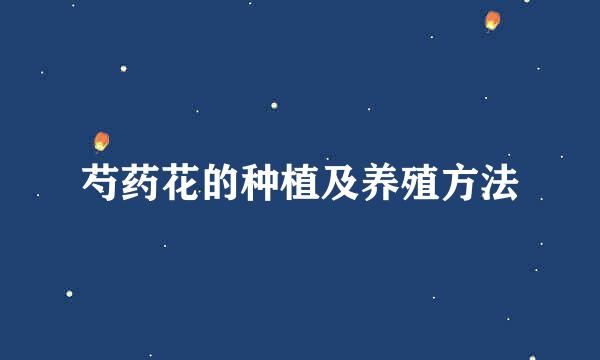 芍药花的种植及养殖方法