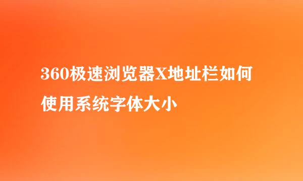 360极速浏览器X地址栏如何使用系统字体大小
