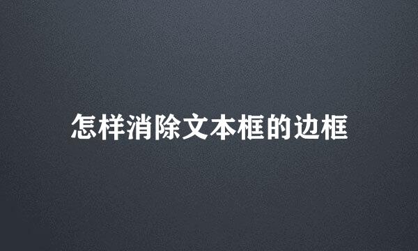 怎样消除文本框的边框