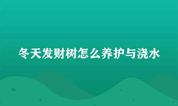 冬天发财树怎么养护与浇水