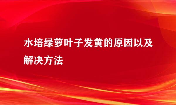 水培绿萝叶子发黄的原因以及解决方法