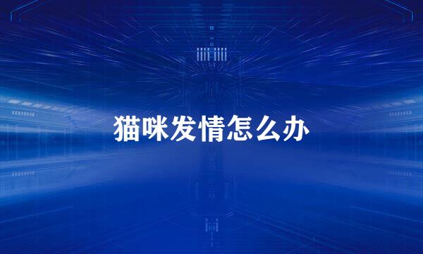猫咪发情怎么办