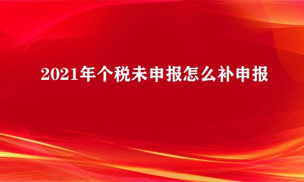 2021年个税未申报怎么补申报