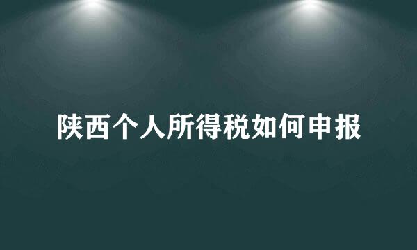 陕西个人所得税如何申报