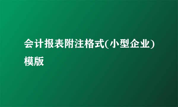 会计报表附注格式(小型企业)模版