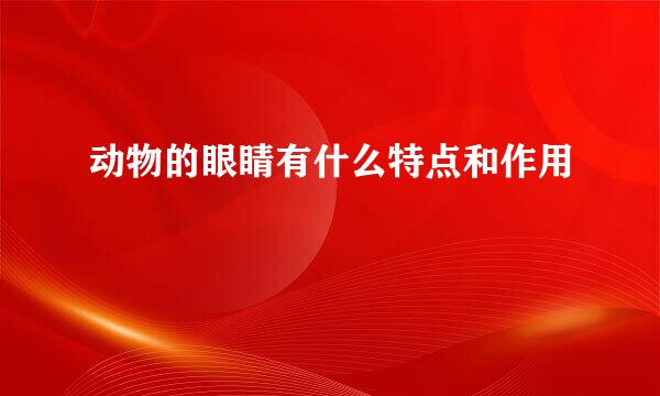 动物的眼睛有什么特点和作用