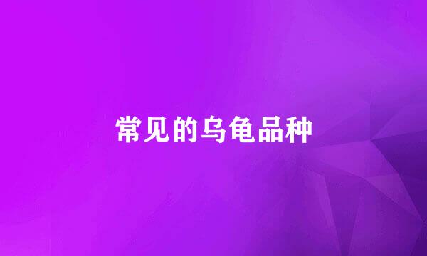 常见的乌龟品种