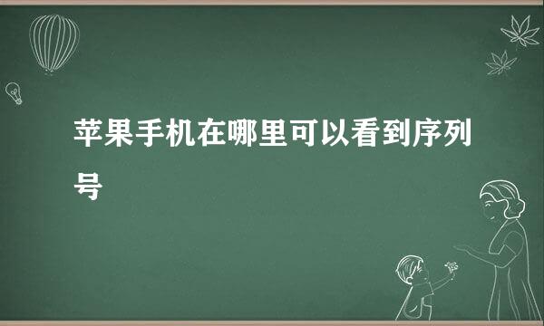 苹果手机在哪里可以看到序列号