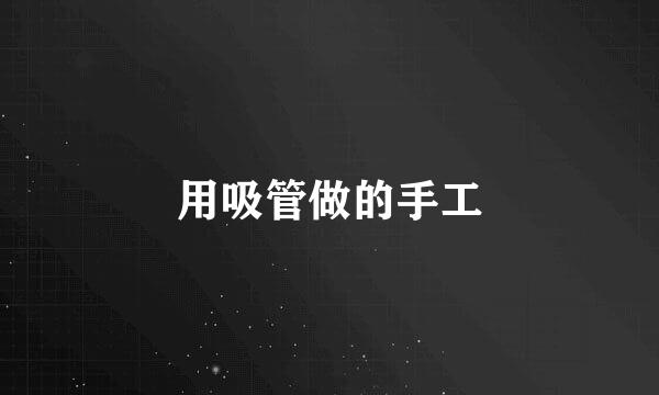用吸管做的手工