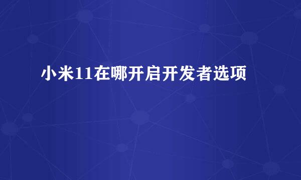 小米11在哪开启开发者选项