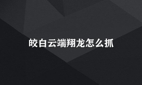 皎白云端翔龙怎么抓
