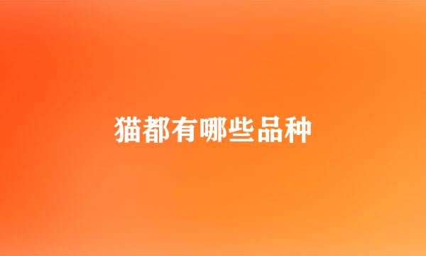 猫都有哪些品种