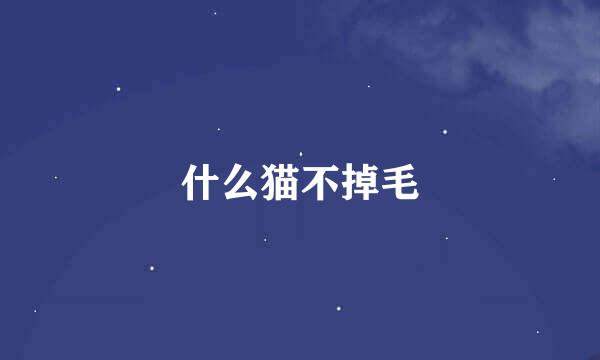 什么猫不掉毛