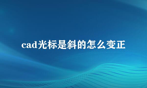cad光标是斜的怎么变正