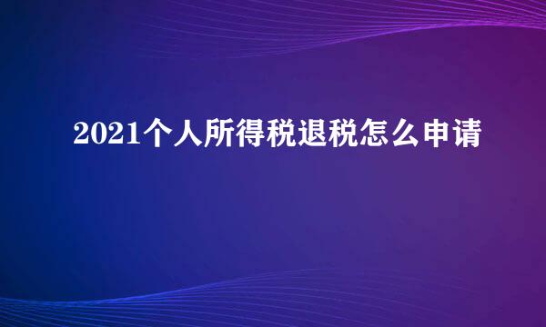 2021个人所得税退税怎么申请