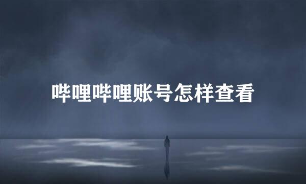 哔哩哔哩账号怎样查看
