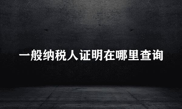 一般纳税人证明在哪里查询