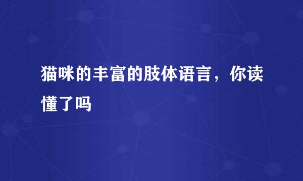 猫咪的丰富的肢体语言，你读懂了吗