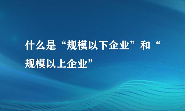 什么是“规模以下企业”和“规模以上企业”