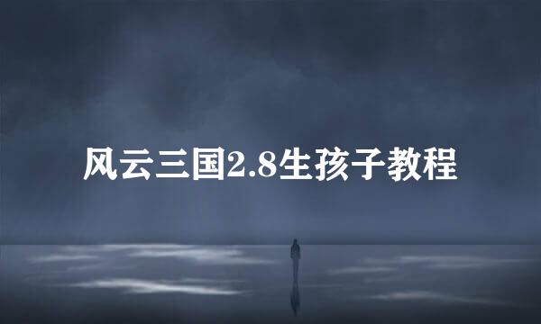 风云三国2.8生孩子教程
