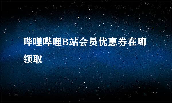 哔哩哔哩B站会员优惠券在哪领取