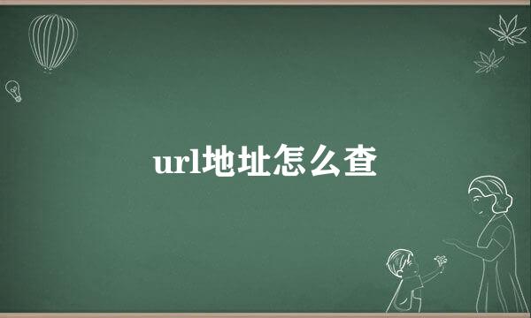 url地址怎么查