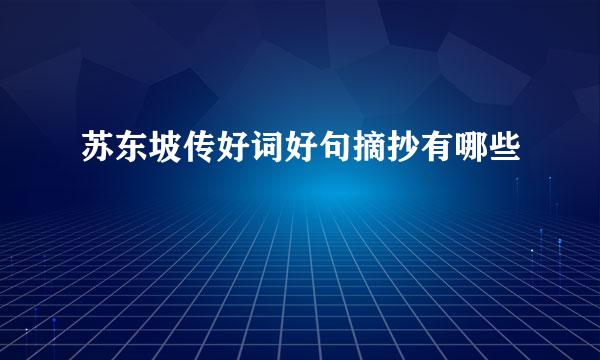 苏东坡传好词好句摘抄有哪些